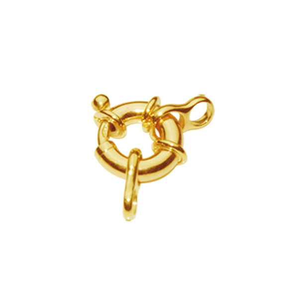 Gold Clasp — CJRY9