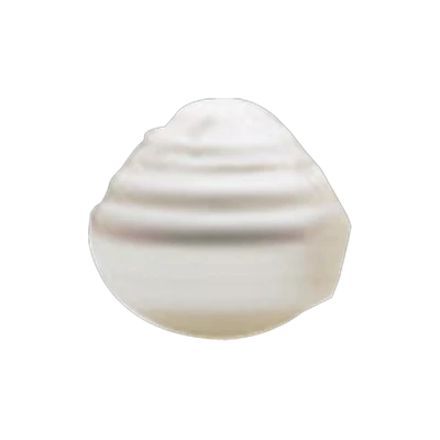 Circle shape, Australian South Sea pearl