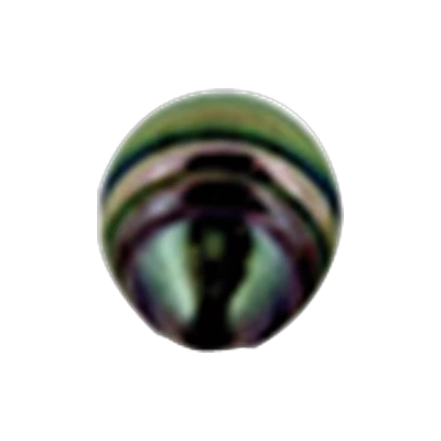 Circle shape, Tahitian pearl
